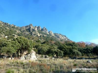 Sierra de la Cabrera - Pico de la Miel; senderismo madrid grupos; senderismo organizado